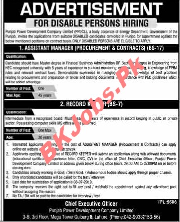 WAPDA Punjab Jobs For Assistant Manager & Store Keeper Disable Person ...