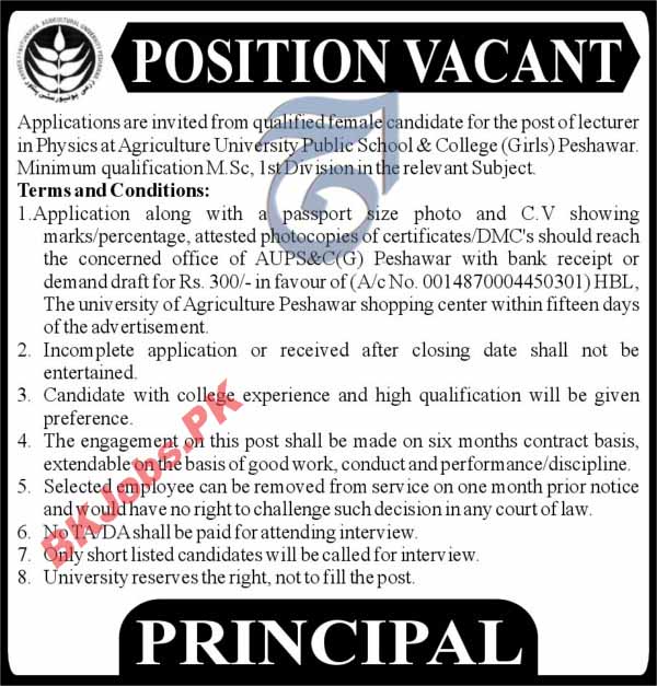 Agriculture University Peshawar Jobs Latest Advertisement | BK Jobs