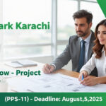 Urgent jobs in Karachi – PSEB Project Director 2025 opportunity