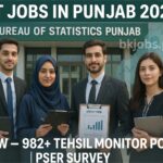Govt Jobs in Punjab 2025 – Tehsil Monitor PSER Survey